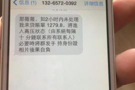 汉阳汉阳的要账公司在催收过程中的策略和技巧有哪些？